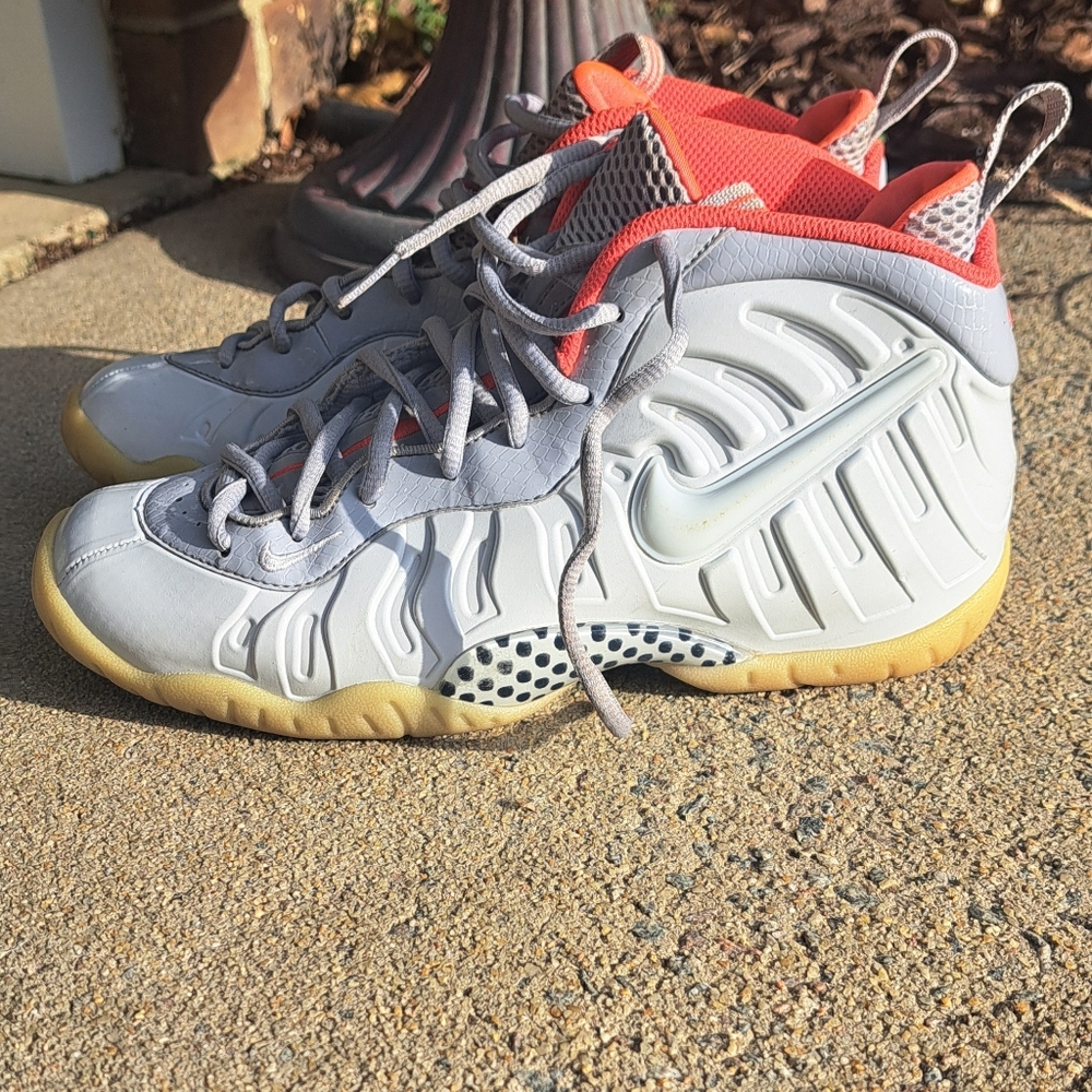 Nike Air foamposite pro premium pro platinum